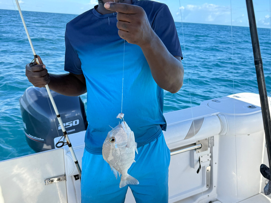 Sugar Island Tours-Jolly Harbour必去景点