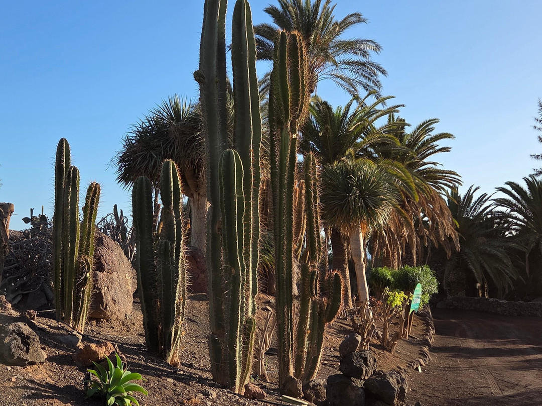 Jardin Botanico-La Lajita必去景点