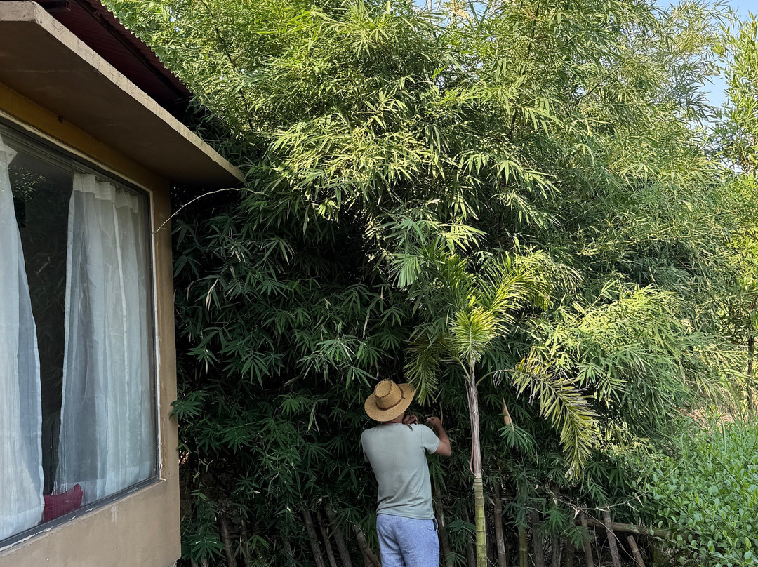 Little Affair Sariska主图