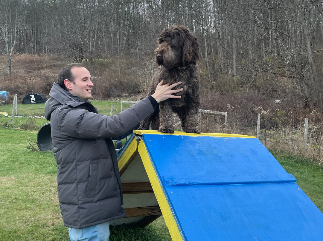 The Paw House Inn主图