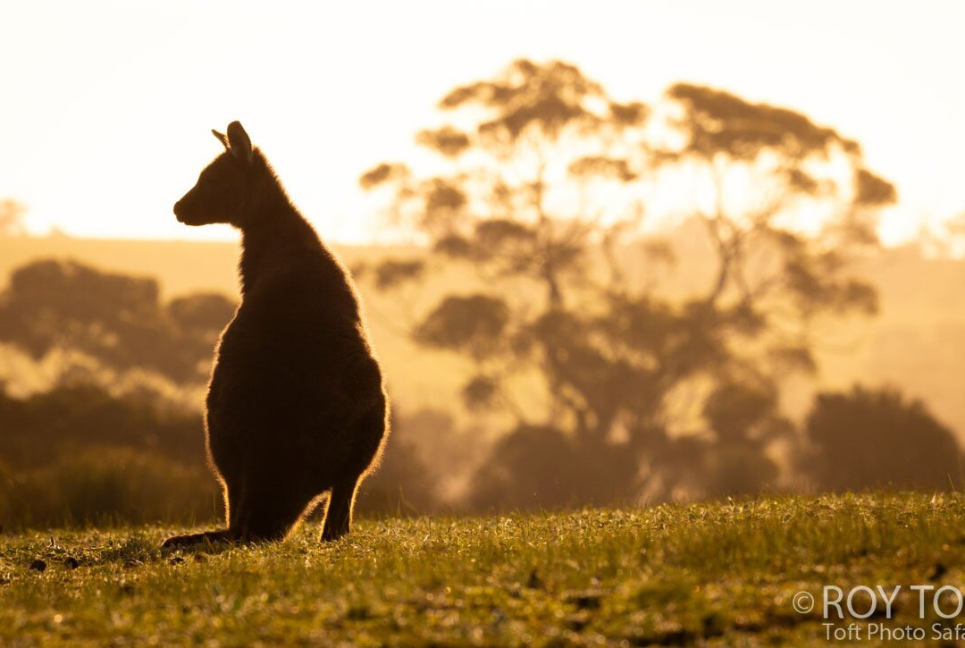 Unearth Adventure-拉布拉多必去景点