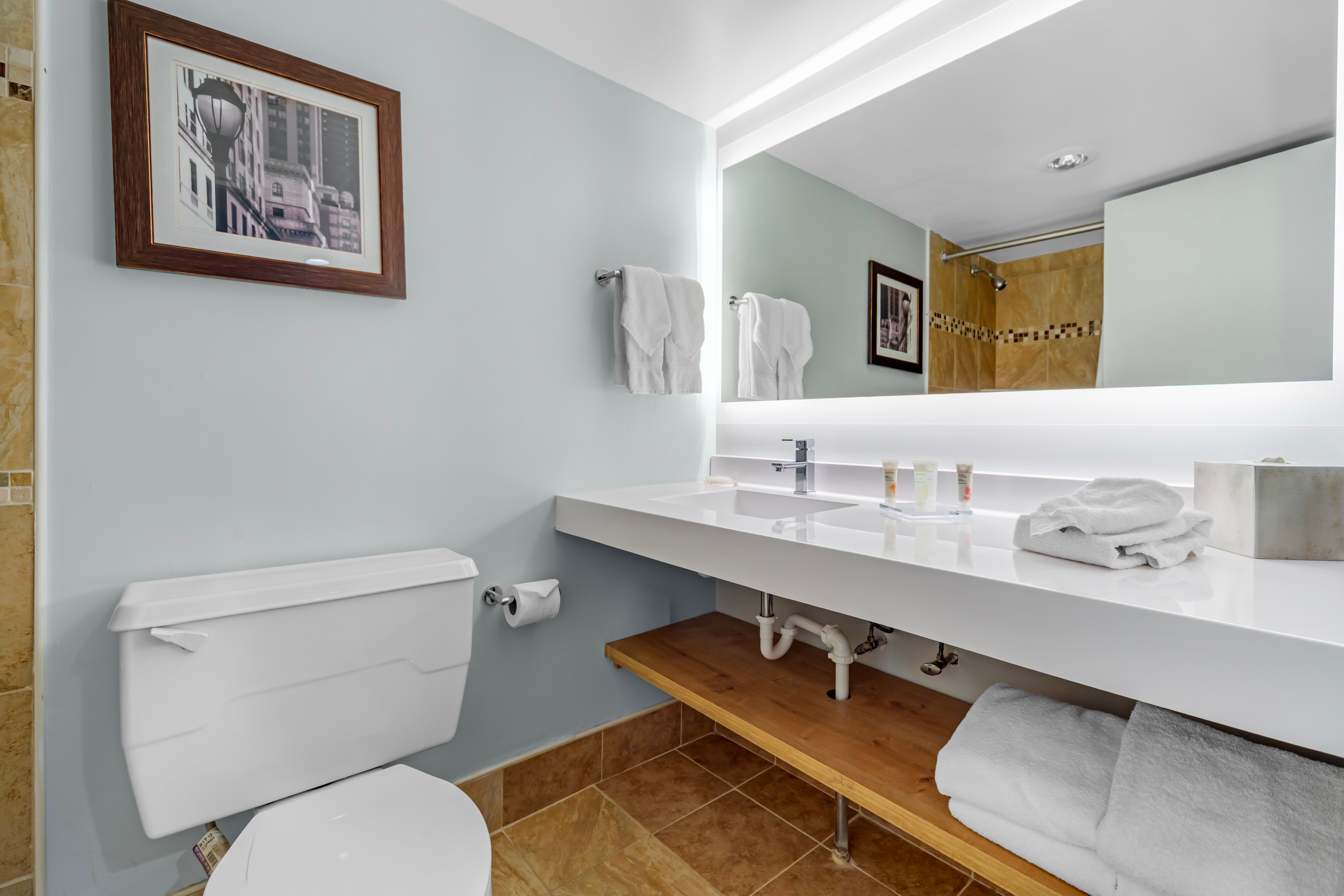 Radisson Hotel Philadelphia Northeast-浴室