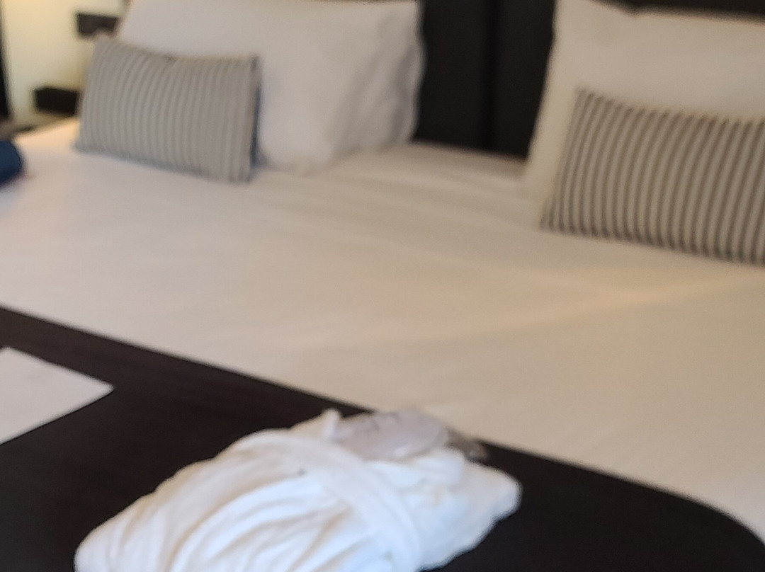 Athenian Riviera Hotel & Suites主图