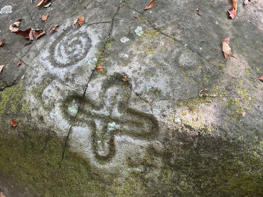 Mystic Embrace-Chacala必去景点