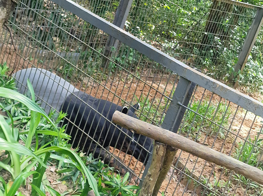 珍珠王国野生动物园-富国岛必去景点