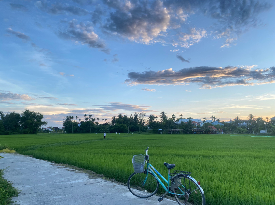 Hoian Day Trip Company-会安必去景点
