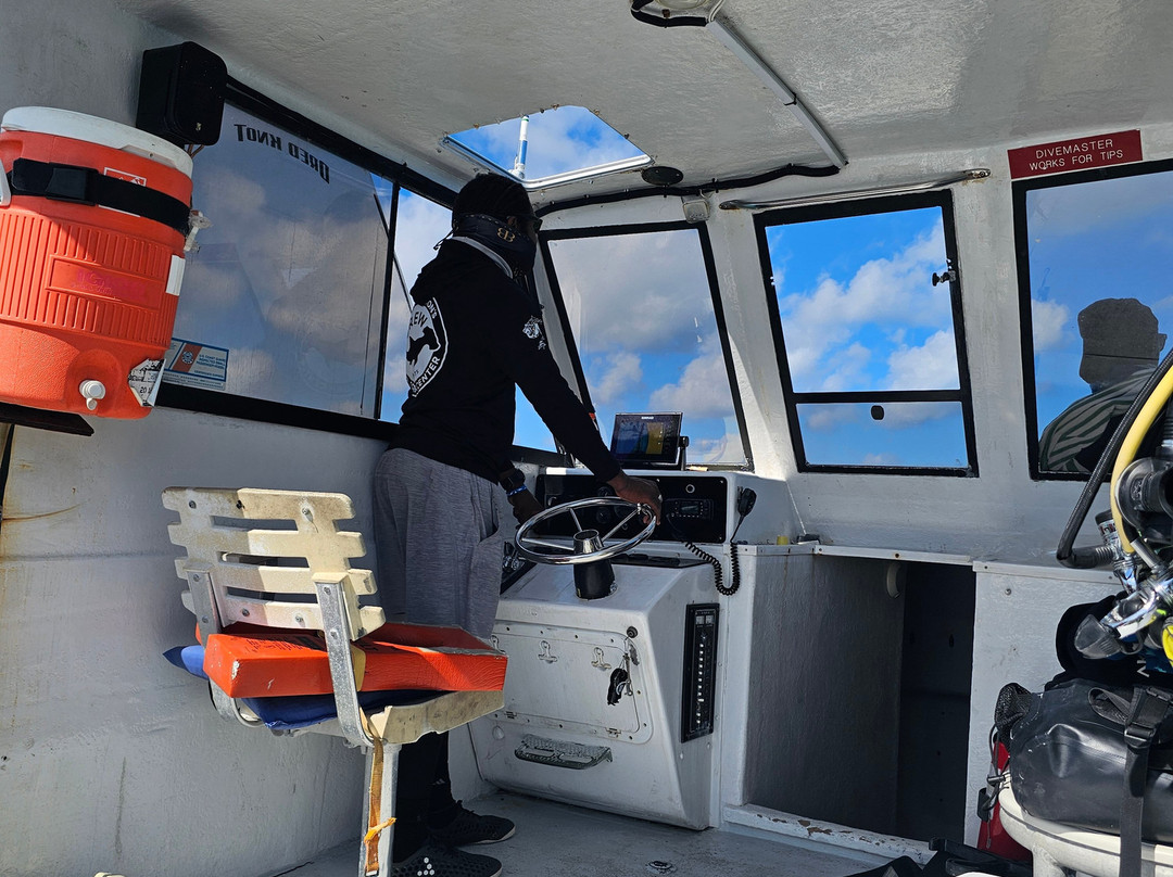 Neal Watson's Bimini Scuba Center-Alice Town必去景点