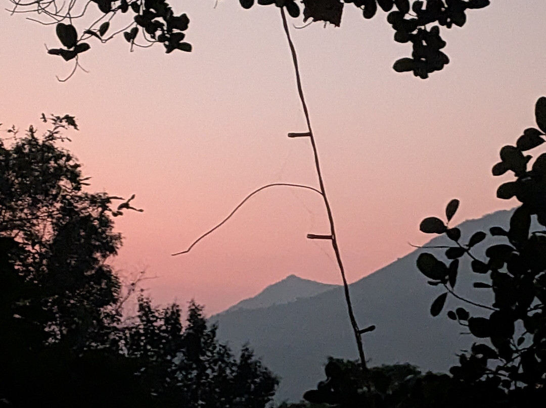 Bougainvillea Resort Mulshi