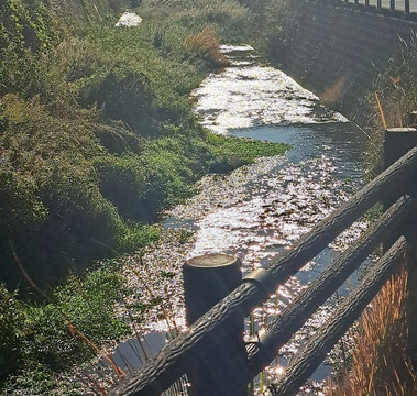 Ebisuya Yufuin-由布市必去景点