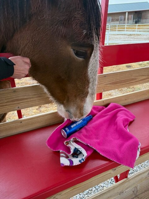 Warm Springs Ranch-Boonville必去景点