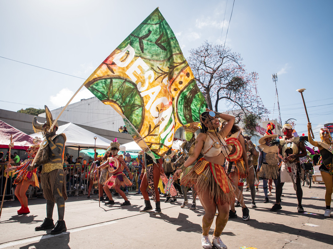 Carnaval de Barranquilla-Barranquilla必去景点