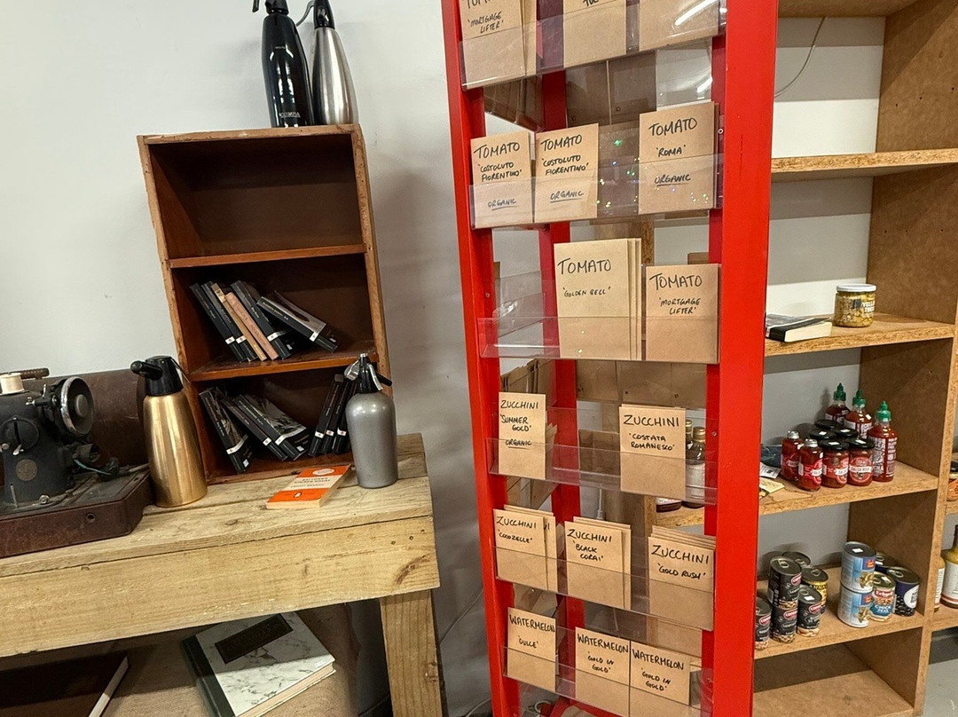 Good Life Stores-达格维尔必去景点