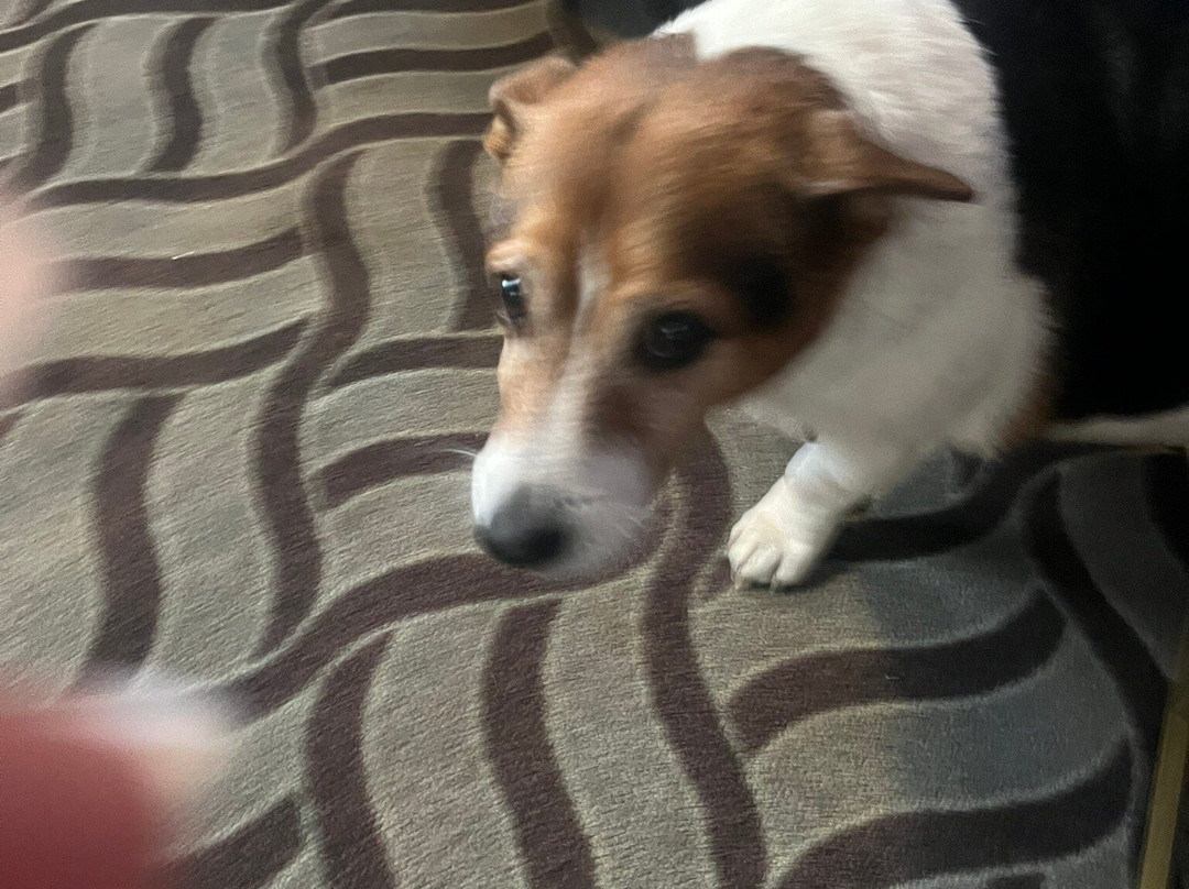 Briardene Hotel主图