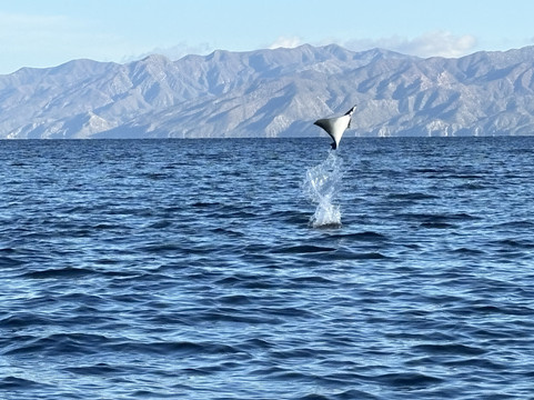 Salinas Adventures-La Ventana必去景点