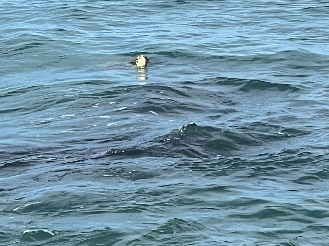 Hanakao'o Beach Park-拉海纳必去景点