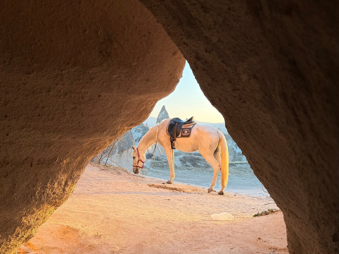 Moonlight Horse Ranch-格雷梅必去景点