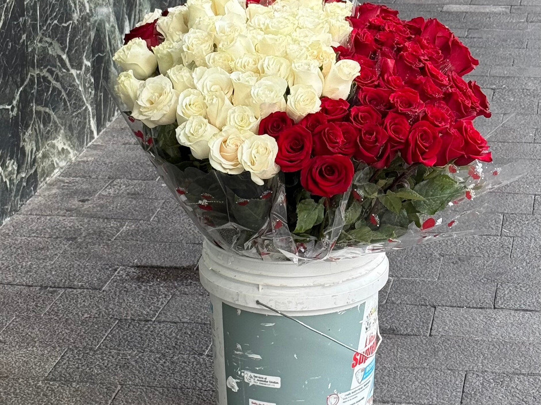 Quito Free Walking Tour-基多必去景点