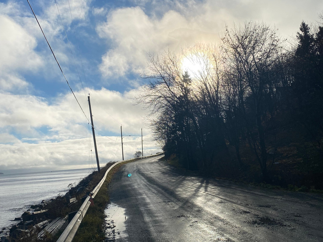望海住宿加早餐旅馆主图