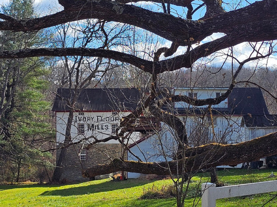 Ivory Mills-White Hall必去景点