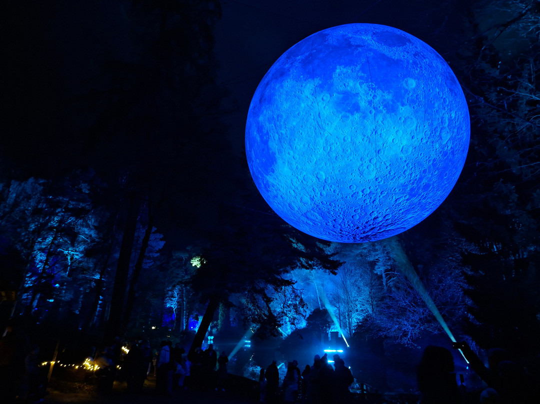 Leonardslee Illuminated