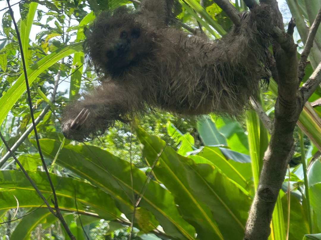 Matt's Fishing & Tours-萨迪纳尔必去景点