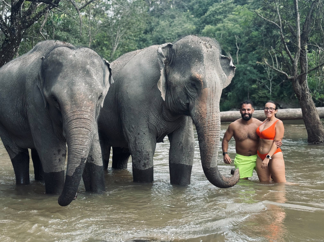 Pon Elephant Thailand-清迈必去景点
