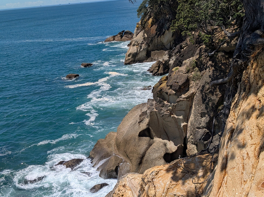 Nature & Nosh Tours-汉密尔顿必去景点