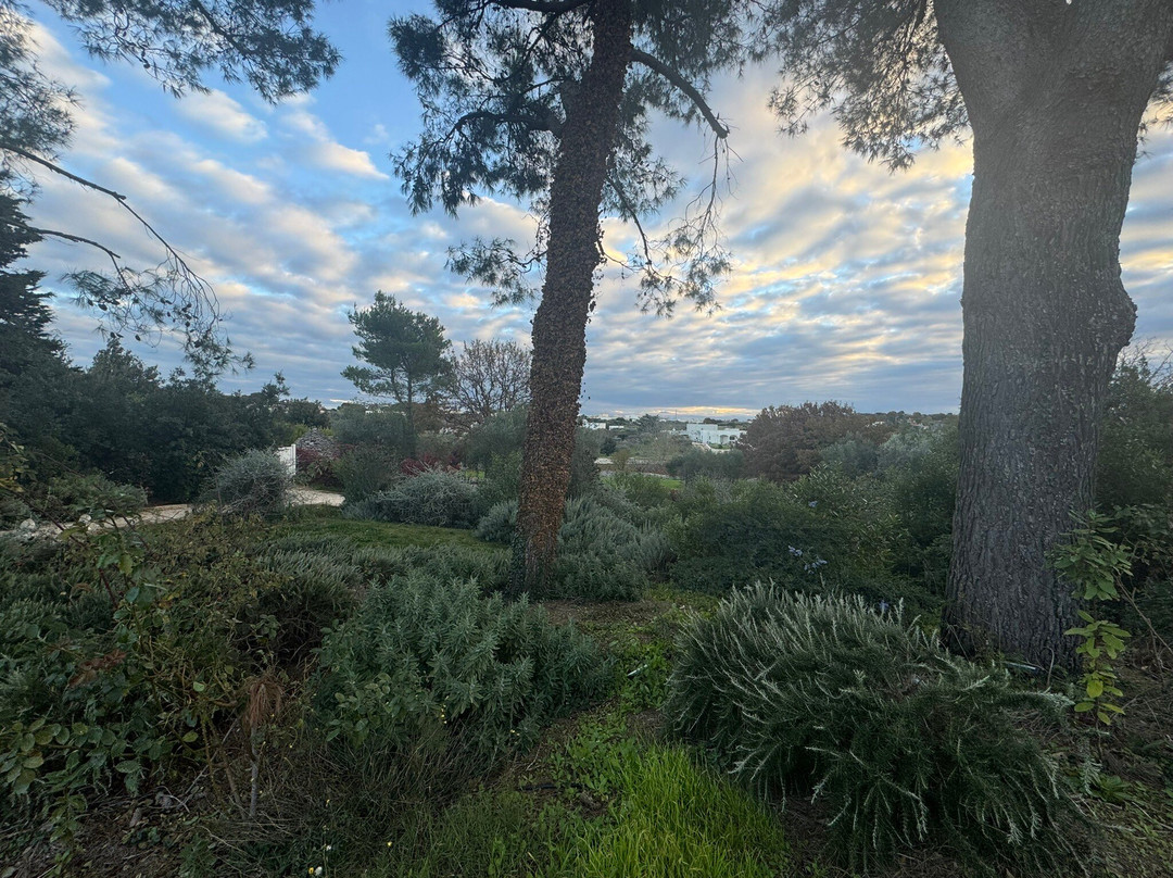 Tenuta del Lauro主图