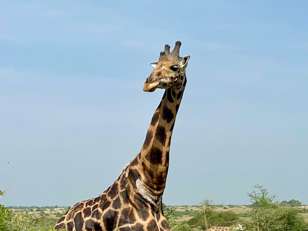 Trek Rwenzori Tours-Fort Portal必去景点