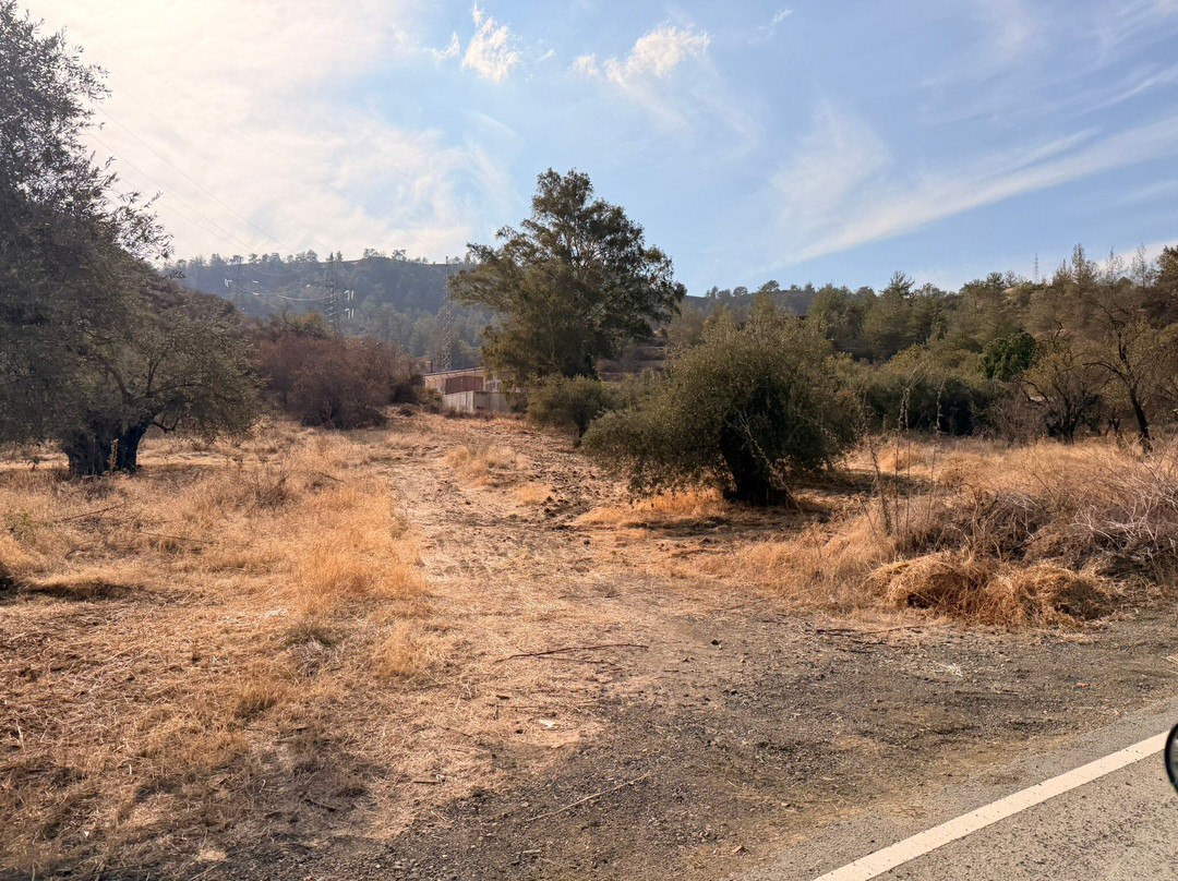 Kakopetria Safari Atv-卡科佩特里亚必去景点