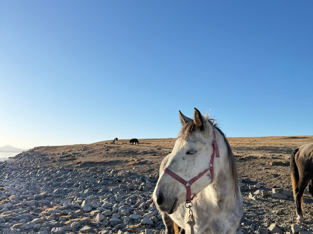 Song-Kol Travel-比斯凯克必去景点