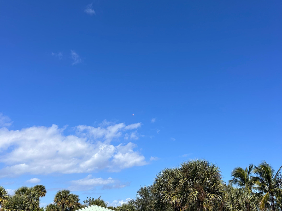 Manatee Sanctuary Park-卡纳维拉尔角必去景点