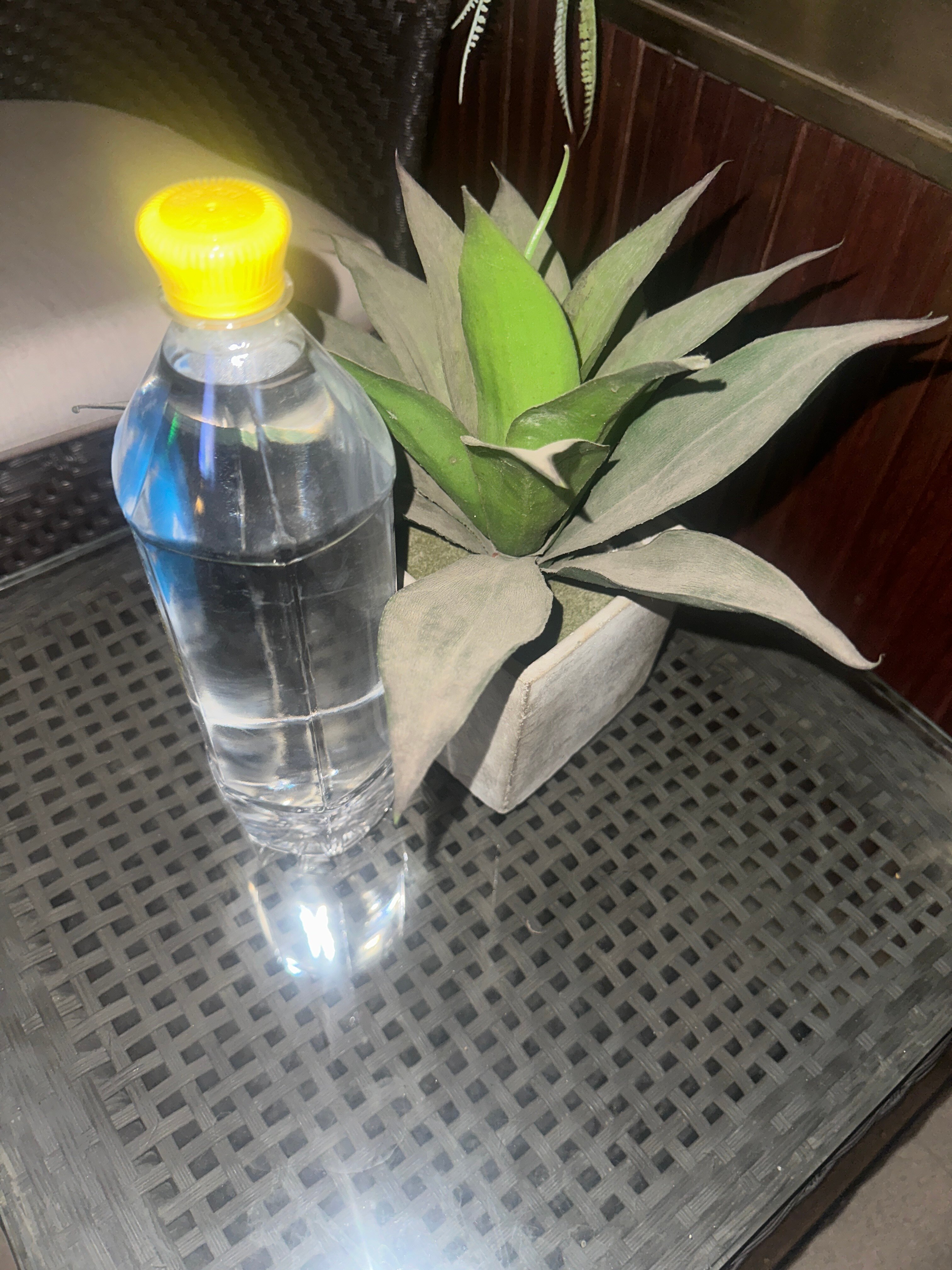 The Fern Mumbai, Goregaon, Series by Marriott-官方