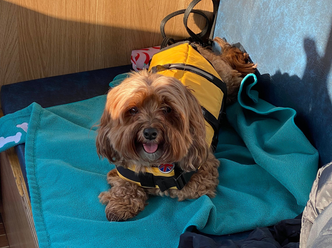 Martham Ferry Day Boat Hire-Martham必去景点