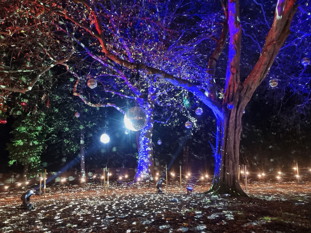 Audley End Miniature Railway-Saffron Walden必去景点
