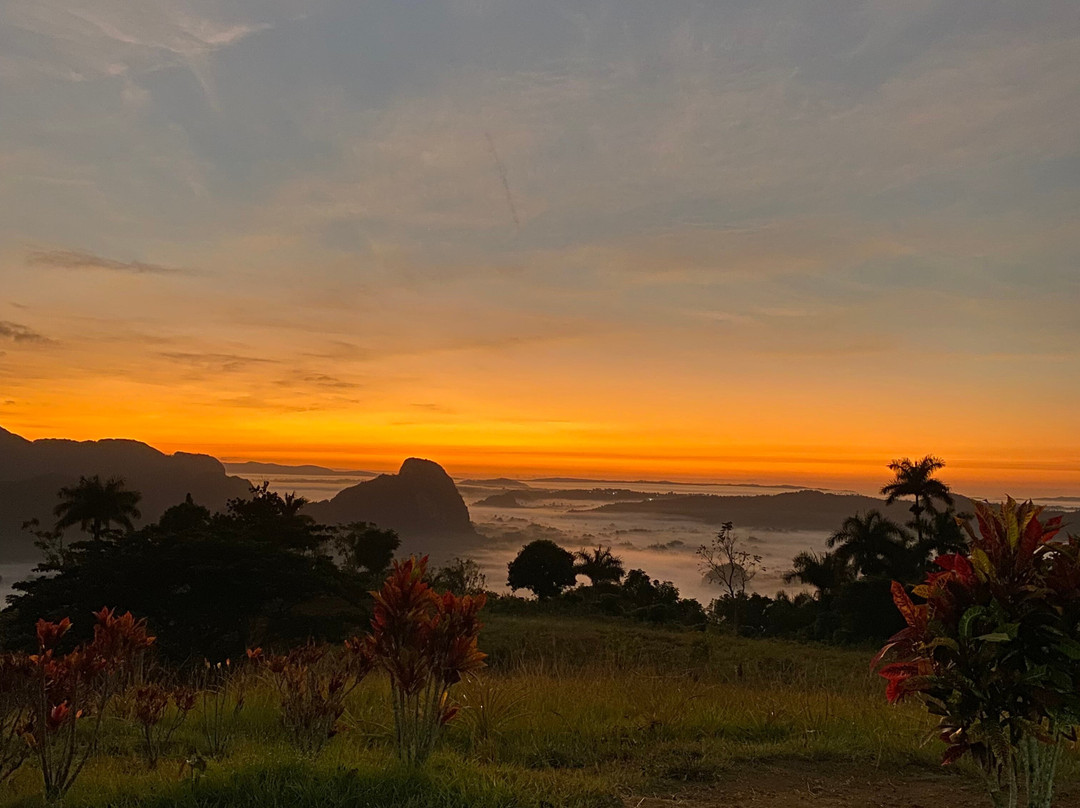 Authentic Tour Delivery-null必去景点