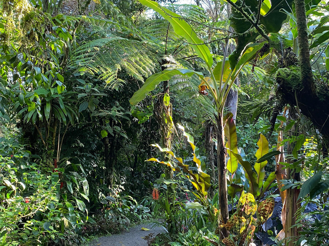 Casa Divina Eco Lodge主图