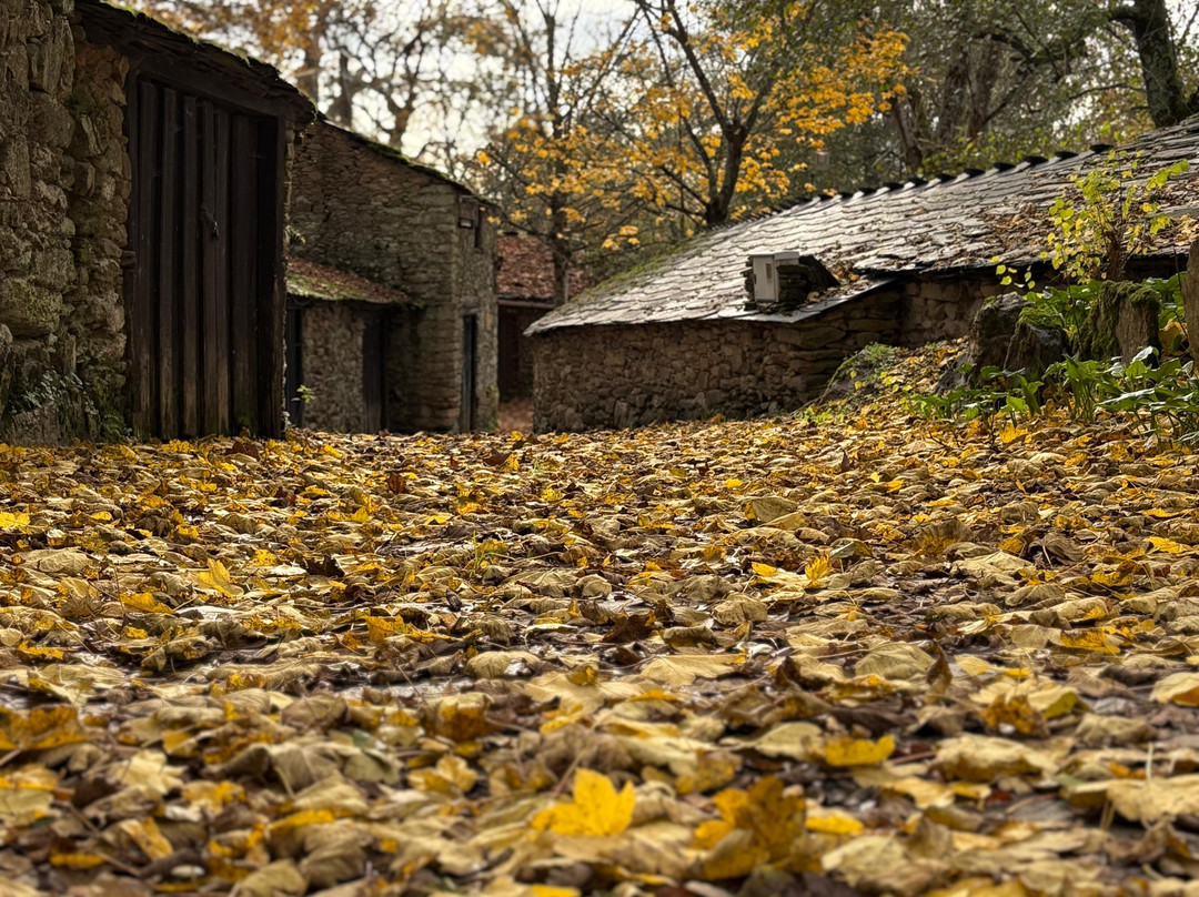 Enoturismo Galicia-Monforte de Lemos必去景点