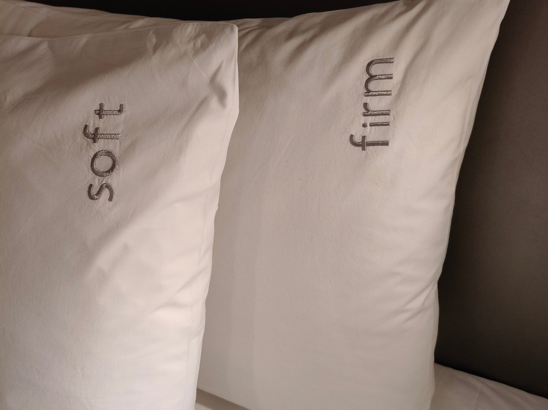 Holiday Inn Johannesburg Airport by IHG主图