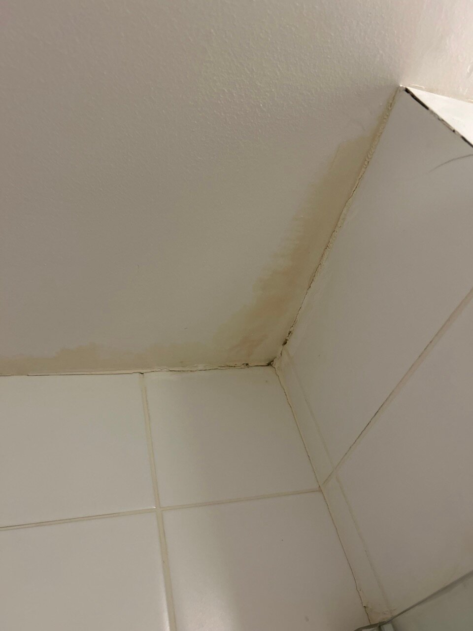 高尔斯基城市酒店-浴室