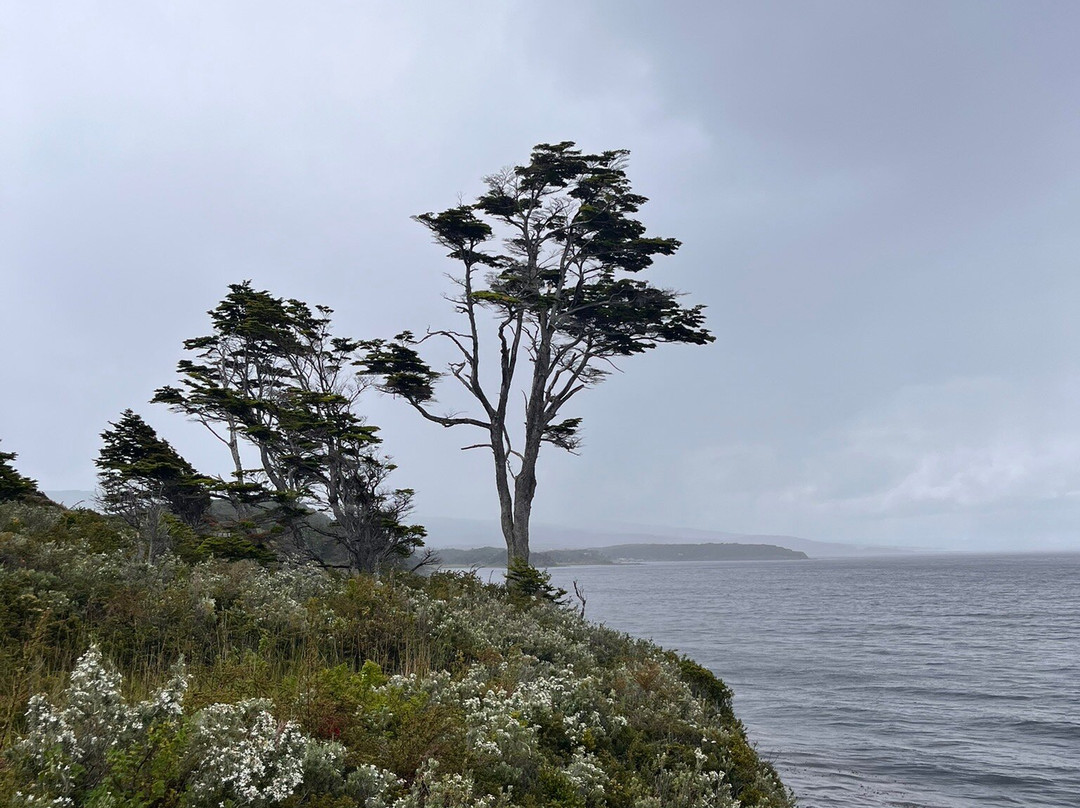 Parque del Estrecho de Magallanes-蓬塔阿雷纳斯必去景点