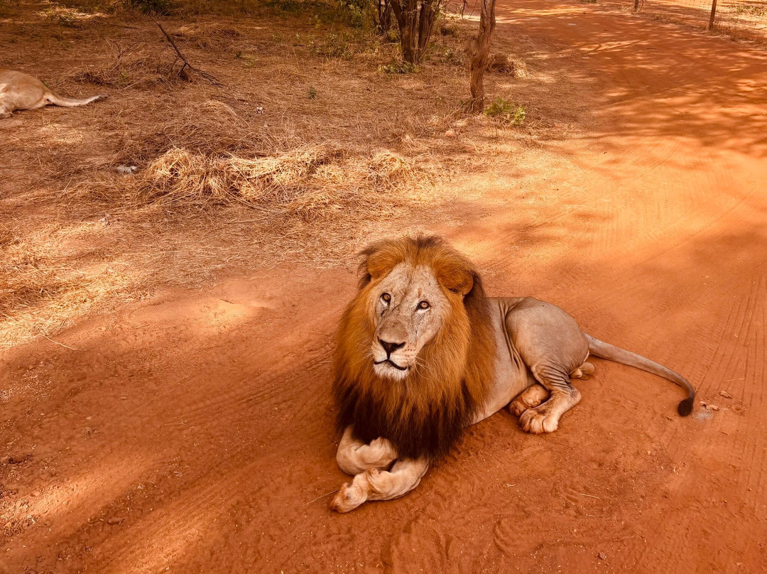 Sarr Tour-莫布瓦必去景点