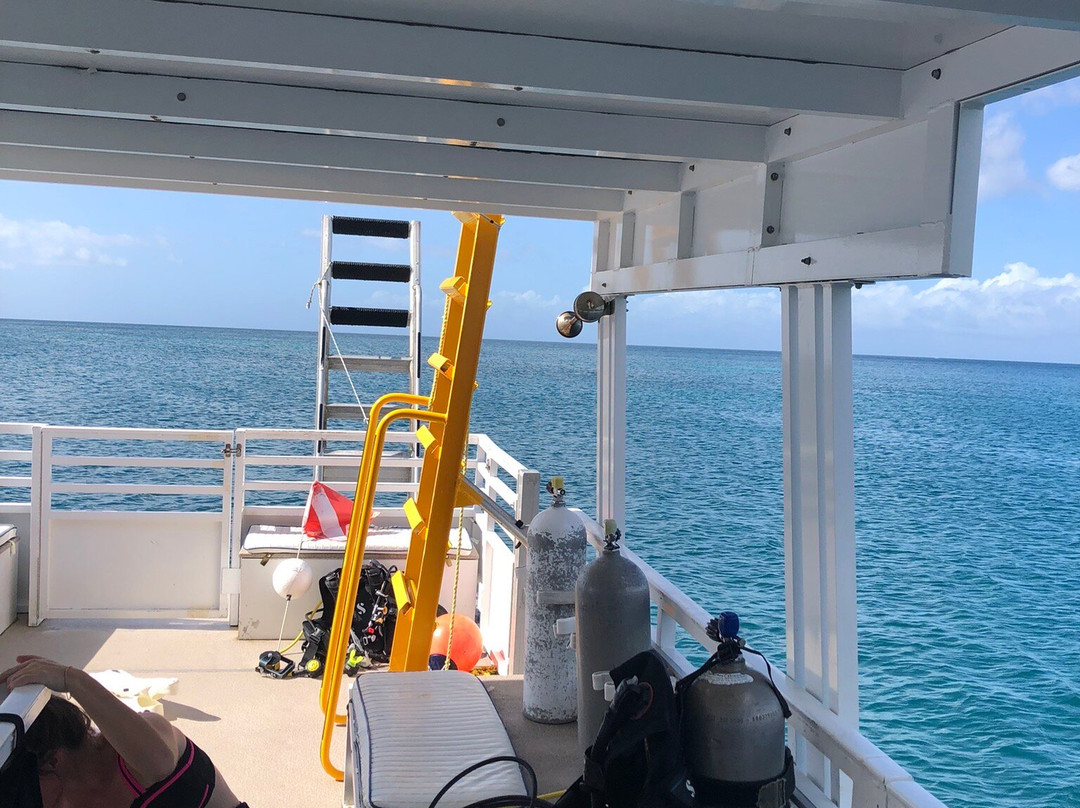 Eco Dive-St. George's必去景点