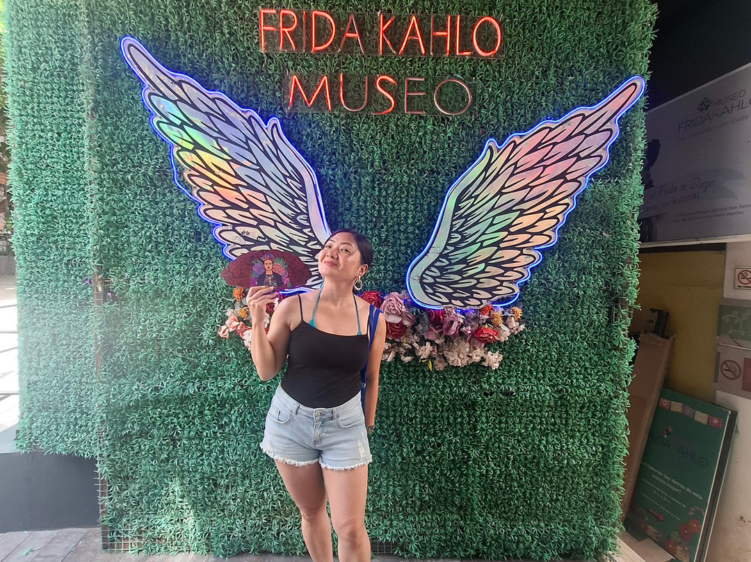 Museo Frida Kahlo-普拉亚德尔卡曼必去景点