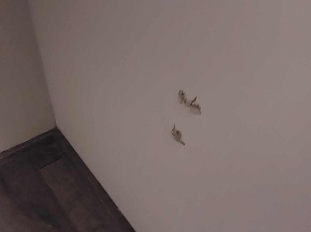 尹杜斯特里酒店主图