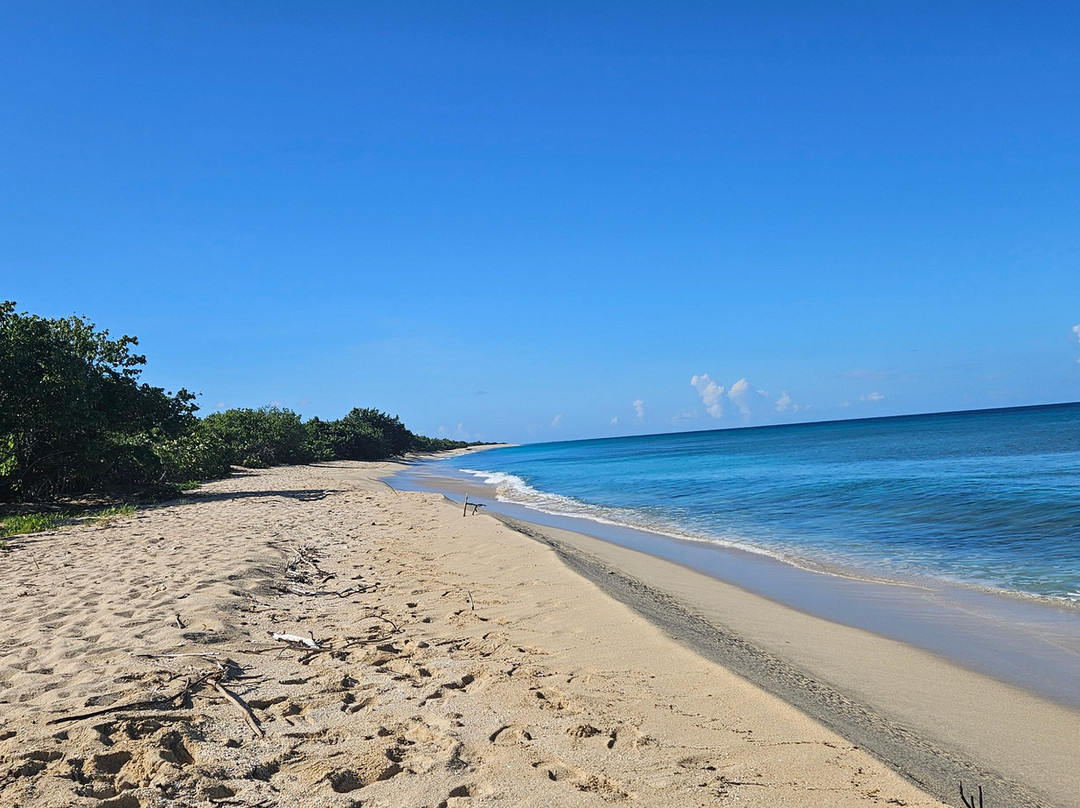 Island Life Adventures-Frederiksted必去景点