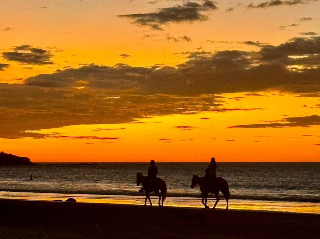 Ocho Beach Bar主图