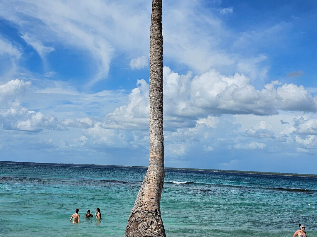 Franconero Escursioni-Bayahibe必去景点