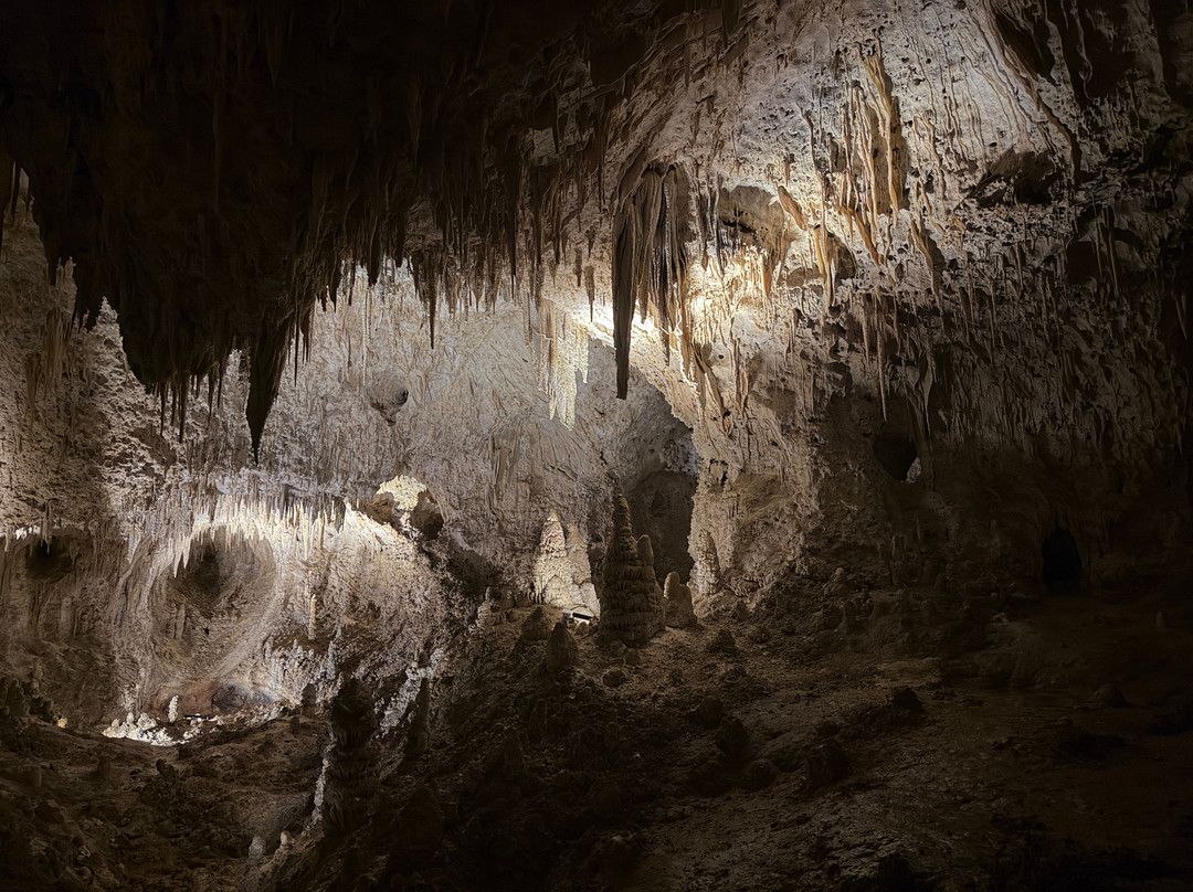 Big Room-卡尔斯巴德洞穴国家公园必去景点