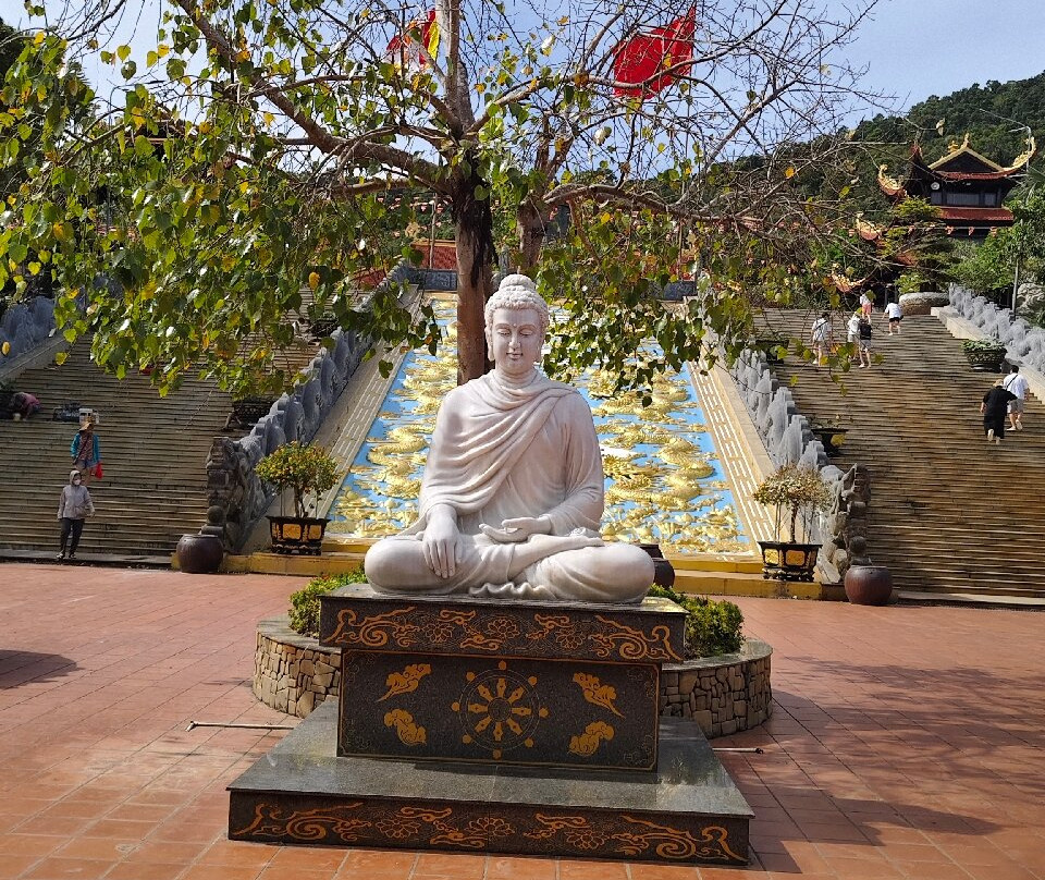 Amega Tour and general trading company limited-河内必去景点